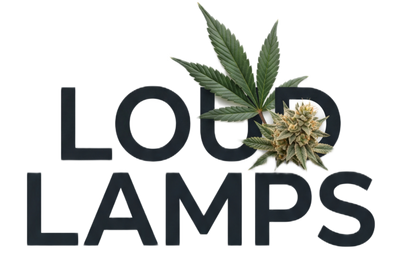 Loud Lamps™ 