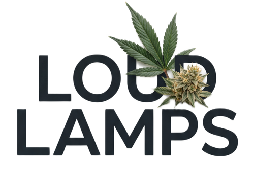 Loud Lamps™ 